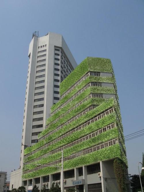 長江水利委員會-水箱清洗